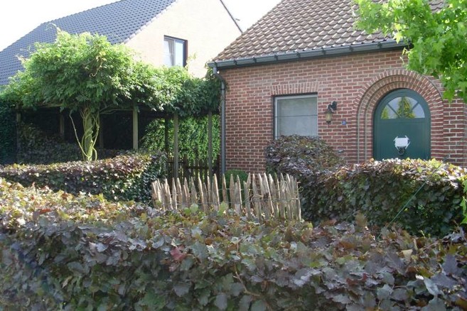 Tuinen in beeld Weerspiegeling van een verwilderde tuin Habitos.be