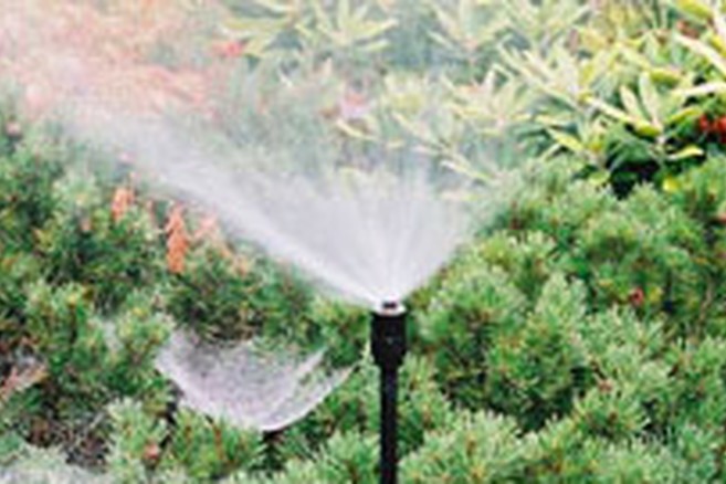 De zin of onzin van een beregeningsinstallatie in de tuin Habitos.be